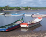 Boat Ride at Isla Juan Venado Reserve
