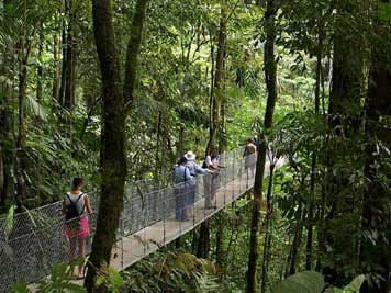Arenal Hanging Bridges and Tabacon Hot Springs