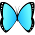 wtg-butterfly-open-wings